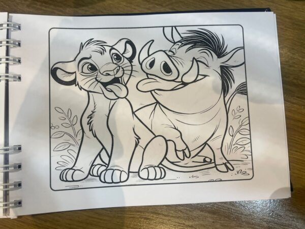 Livro de pintar disney