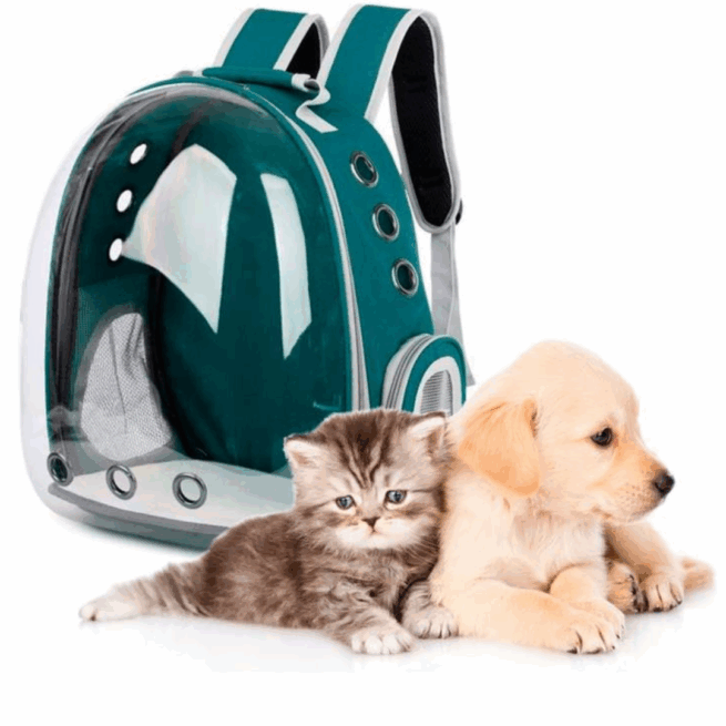 Mochila Pet Transporte para Cães e Gatos - Verde Escuro - Visão Ampla