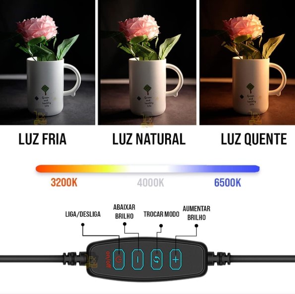 Ring Light 12" com Tripé Regulável para Gravação e Selfie