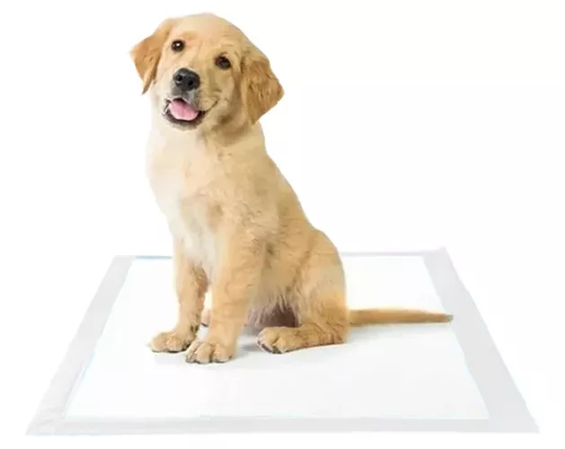 Tapete Premium Higiênico para Cães Durapads 60x60 cm – Verde – 30 Unidades